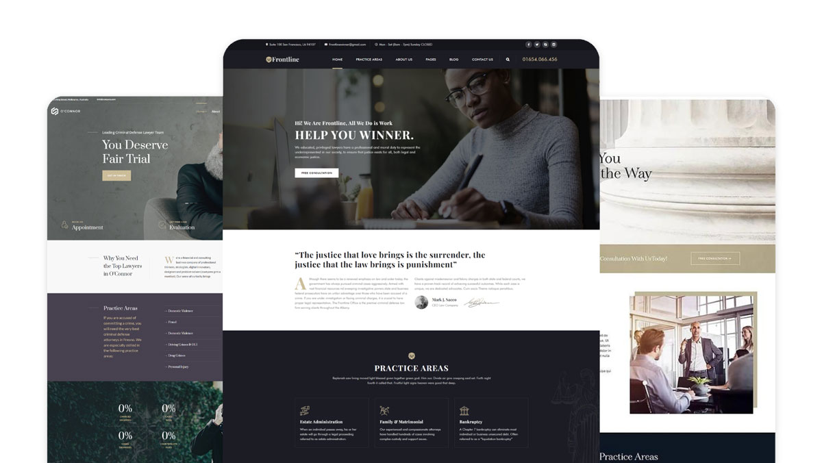 Examples of paid themes for WordPress and Wix.